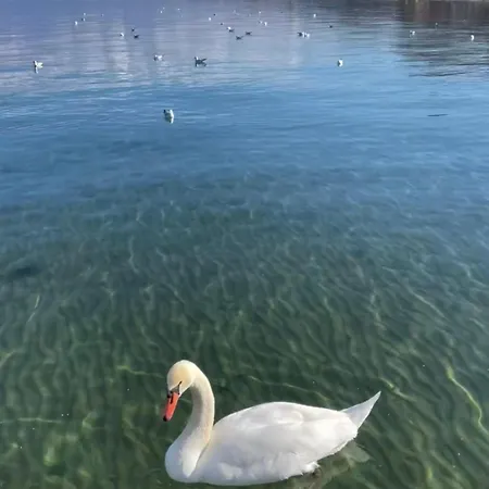 Stormi's Апартаменты