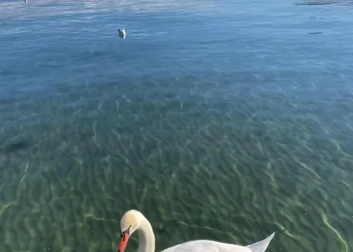 Stormi's アパート