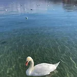 Stormi's 公寓