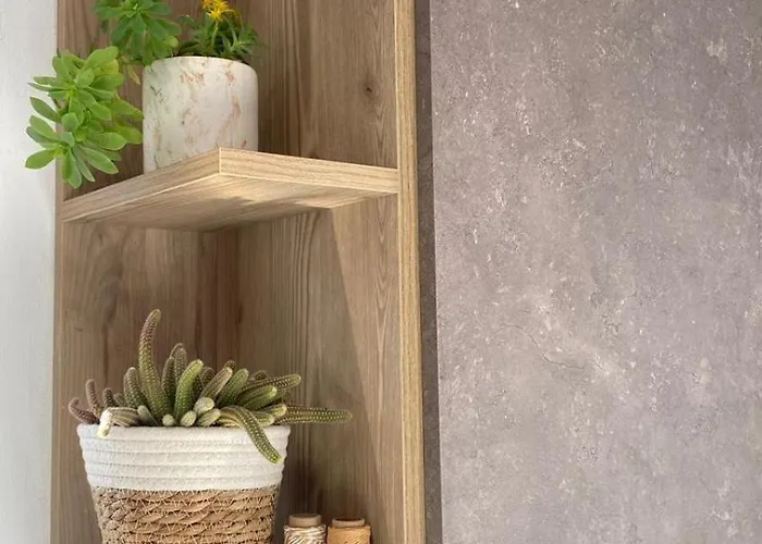 Stormi's 波格拉德茨